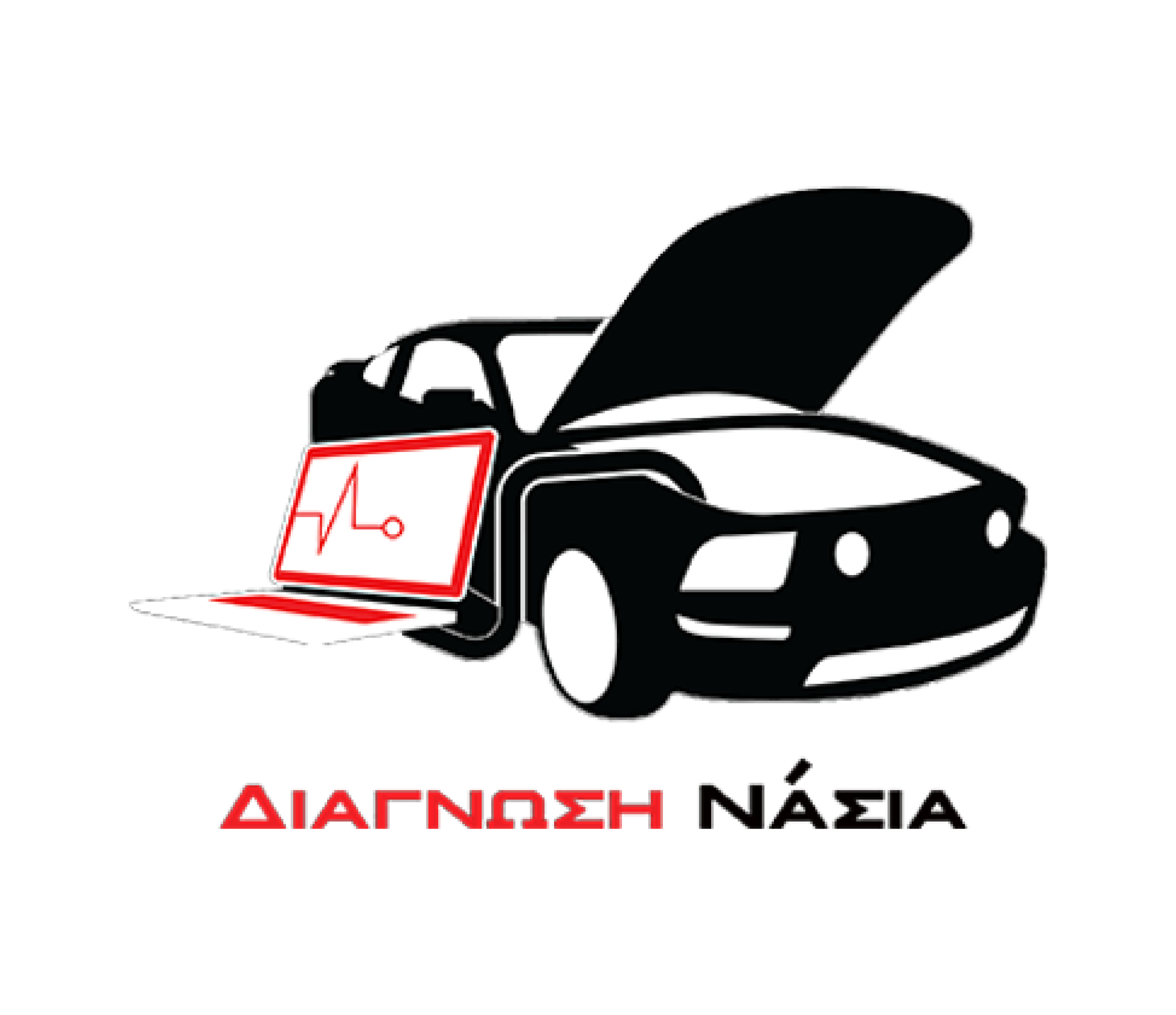 Diagnosis Nasia Logo